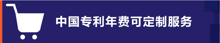 中國專利年費可定制服務